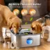 Oneisall 10 Liter Stainless Steel Pet Water Fountain W/ Washable & Reusable Sponge FIlter image thumbnail 6