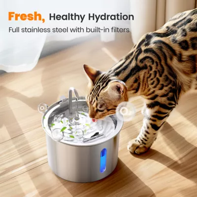 Oneisall 2 Liter Stainless Steel Cat Water Fountain W/ 3-Layer Filtration & Faucet Design - Image 5