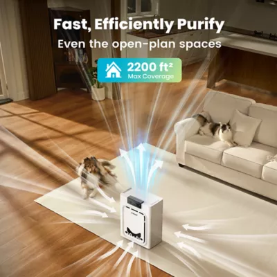 Oneisall Pet Air Purifier W/ Dual Sided Intake, Reduces Pet Hair, Alergens, and Pet Odor - Image 9