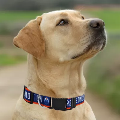 Pets First NHL Edmonton Oilers Satin Dog Collar - Image 4