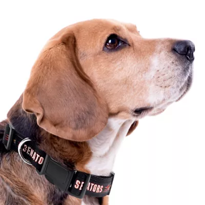 Pets First NHL Ottawa Senators Satin Dog Collar - Image 4