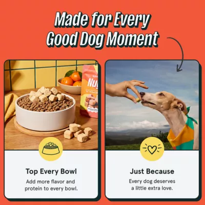 Kismet Nugs Freeze-Dried Dog Food Topper or Treat - 10 oz - Image 4