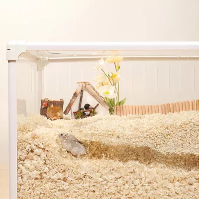 Mini & Moe Modern Viewing Habitat - Image 2