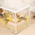 Mini & Moe Modern Viewing Habitat image thumbnail 3