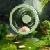 Mini & Moe Silent Crystal Running Wheel XL - 11.5" Small Pet Silent Exercise Wheel image thumbnail 6