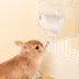Mini & Moe Cloud Water Bottle: Leak-Proof & Stylish for Hamsters image thumbnail 7