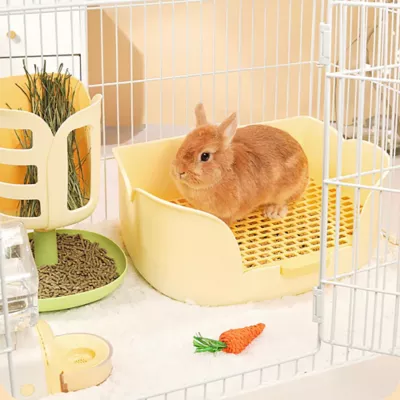 Mini & Moe Tulip Litter Pan -Orange - Image 5