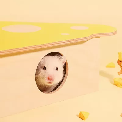 Mini & Moe Cheese Condo - Rectangle - Image 6