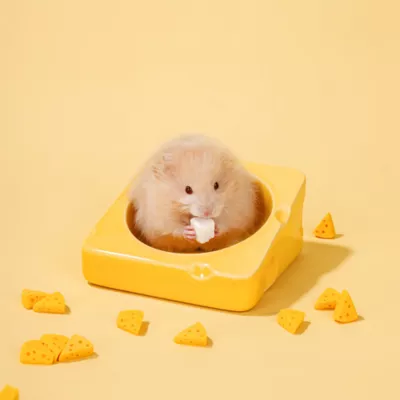 Mini & Moe Ceramic Cheese Bowl Hamster & Small Pet Treat Bowl - Image 2