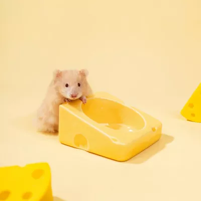 Mini & Moe Ceramic Cheese Bowl Hamster & Small Pet Treat Bowl - Image 3