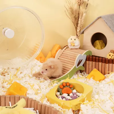 Mini & Moe Ceramic Cheese Bowl Hamster & Small Pet Treat Bowl - Image 5
