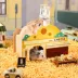 Mini & Moe Cheese Shoppe: Playful Hideout & Activity Center for Hamsters image thumbnail 3
