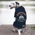 Pets First NHL Edmonton Oilers Pet Tee Shirt for Dog & Cat image thumbnail 6