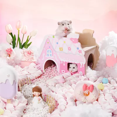 Mini & Moe Candy House - Image 2