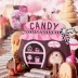 Mini & Moe Sugar Jar- Hideout & Treat Dispenser for Hamsters image thumbnail 2