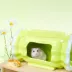 Mini & Moe Ceramic Candy Hide image thumbnail 5