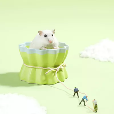 Mini & Moe Ceramic Candy Bowl - Image 2