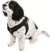 Gooby Easy Fit Dog Harness image thumbnail 1