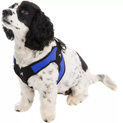 Gooby Easy Fit Dog Harness - Image 1