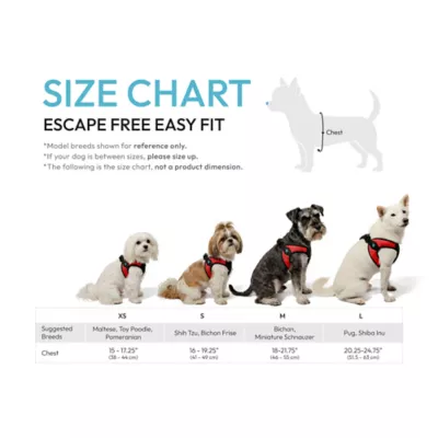Gooby Easy Fit Dog Harness - Image 5
