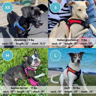Gooby Easy Fit Dog Harness - Image 6
