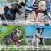 Gooby Easy Fit Dog Harness image thumbnail 6