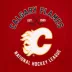 Pets First NHL Calgary Flames Pet Tee Shirt for Dog & Cat image thumbnail 4