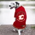 Pets First NHL Calgary Flames Pet Tee Shirt for Dog & Cat image thumbnail 6