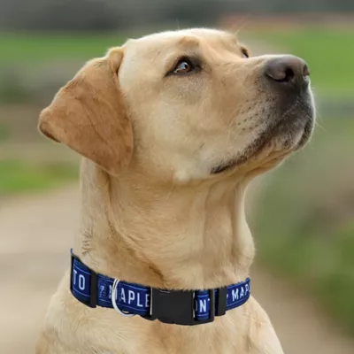 Pets First NHL Toronto Maple Leafs Satin Dog Collar - Image 5