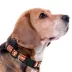 Pets First NHL Calgary Flames Satin Dog Collar image thumbnail 4