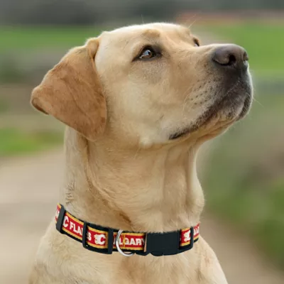 Pets First NHL Calgary Flames Satin Dog Collar - Image 5