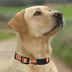 Pets First NHL Calgary Flames Satin Dog Collar image thumbnail 5