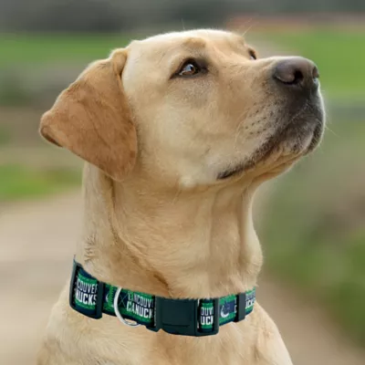 Pets First NHL Vancouver Canucks Satin Dog Collar - Image 5