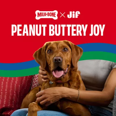 Milk-Bone Peanut Buttery Cups, Filled Soft Dog Treats With Jif Peanut Butter & Real Bacon - Image 4