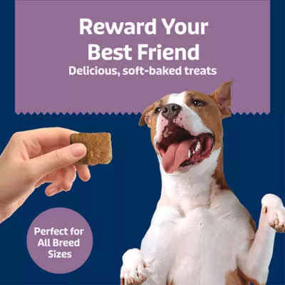 Blue Buffalo Soft & Chewy Health Bars, Adult Dog Treats Baked with Real Chicken & Mixed Berries - Image 4