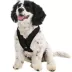 Gooby Comfort X Head In Dog Harness image thumbnail 1