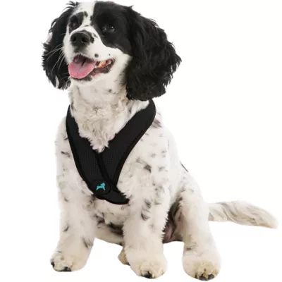 Gooby Comfort X Head In Dog Harness - Image 1