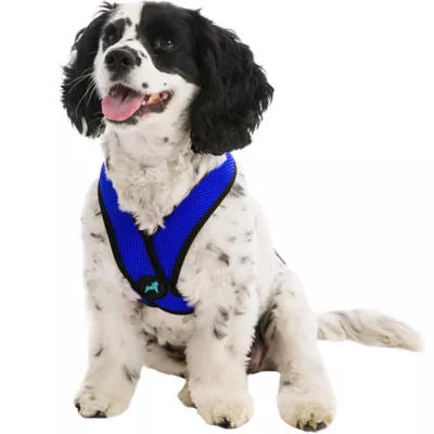 Gooby Comfort X Head In Dog Harness - Image 1