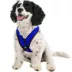Gooby Comfort X Head In Dog Harness image thumbnail 1