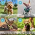 Gooby Comfort X Head In Dog Harness image thumbnail 5