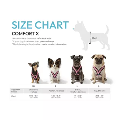 Gooby Comfort X Head In Dog Harness - Image 6