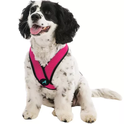 Gooby Comfort X Head In Dog Harness - Image 1