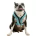 Gooby Comfort X One Dog Harness image thumbnail 1