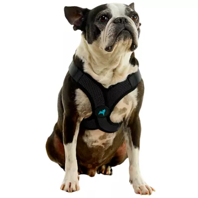 Gooby Comfort X Step In Lite Dog Harness - Image 1