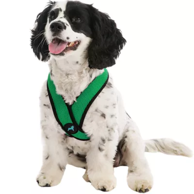 Gooby Comfort X Head In Dog Harness - Image 1