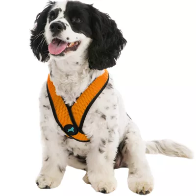 Gooby Comfort X Head In Dog Harness - Image 1