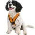 Gooby Comfort X Head In Dog Harness image thumbnail 1