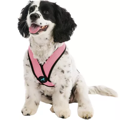 Gooby Comfort X Head In Dog Harness - Image 1
