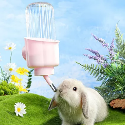 Mini & Moe Tulip Water Bottle - 500mL - Image 2