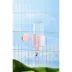 Mini & Moe Tulip Water Bottle - 500mL image thumbnail 6